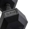 Hexagonal dumbbell 12,5kg Black - Image 2